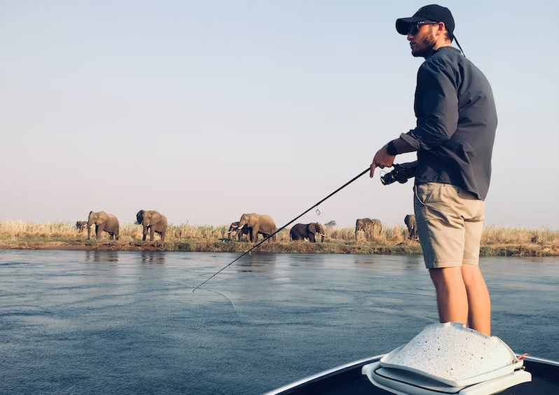 Fly fishing from a boat on the Zambezi as elephants feed on the far bank