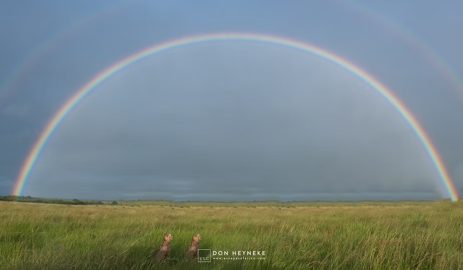 A rainbow over the green hills at Phinda after a storm