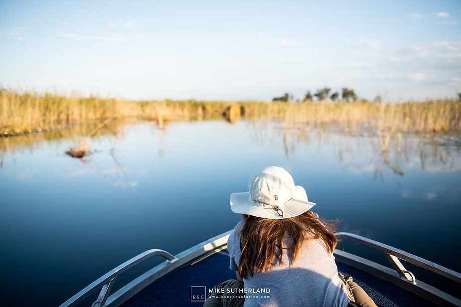 Cruising a Delta channel with elephants crossing ahead