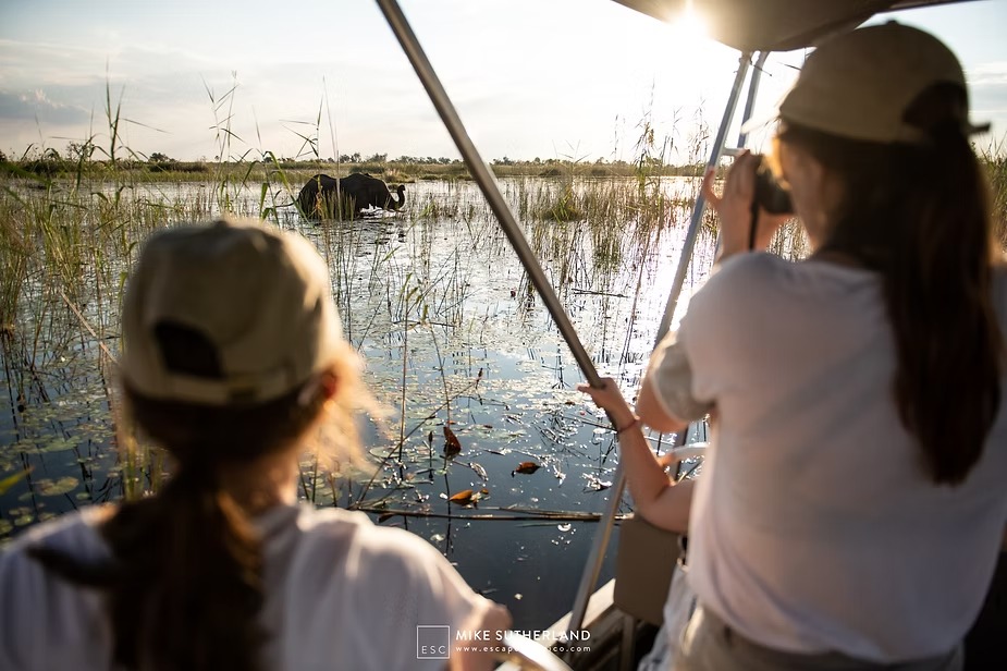 Watching an elephant wade past from the boat