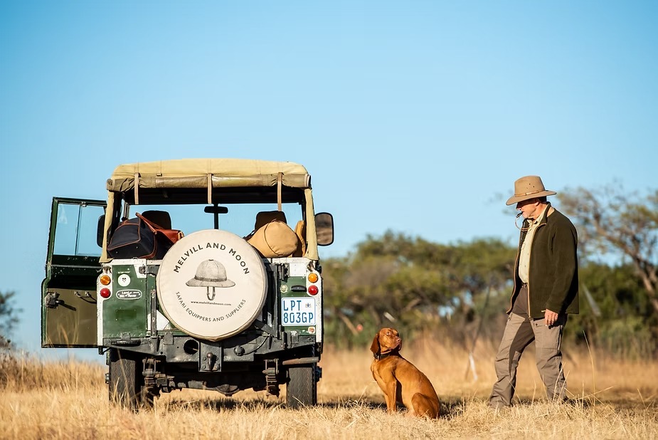 A canvas-kitted Land Rover parked on the plains with a lion resting alongside