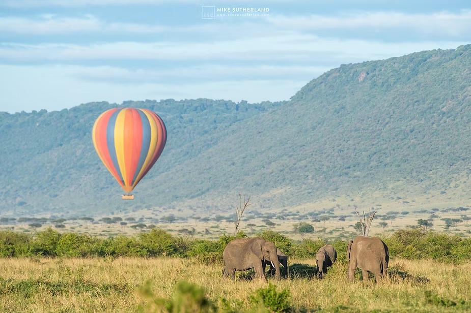 A balloon drifting over the Masai Mara with elephants feeding below