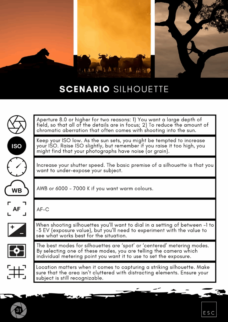 A page from the guide setting out camera settings for shooting silhouettes
