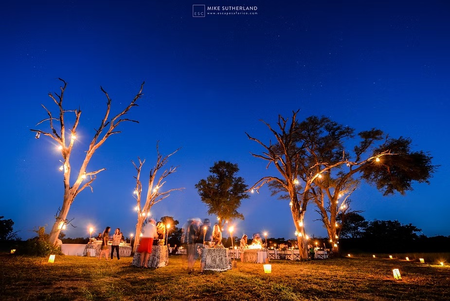 A bush dinner laid out at twilight beneath trees strung with lanterns