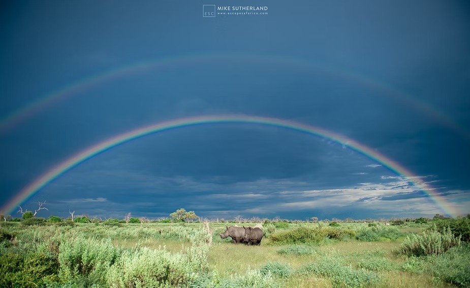 A rainbow arching over green plains after rain
