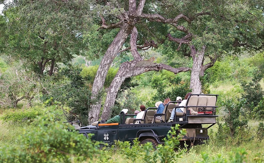 A game vehicle under the riverine trees at Londolozi