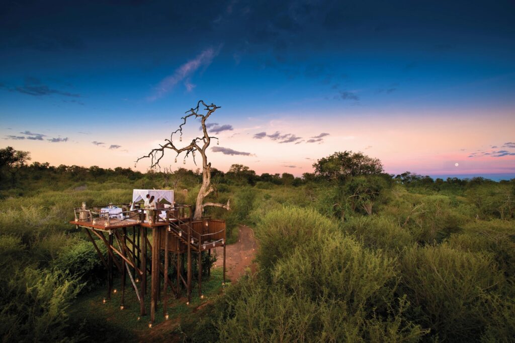 A Lion Sands star bed platform lit against the dusk in the Sabi Sand