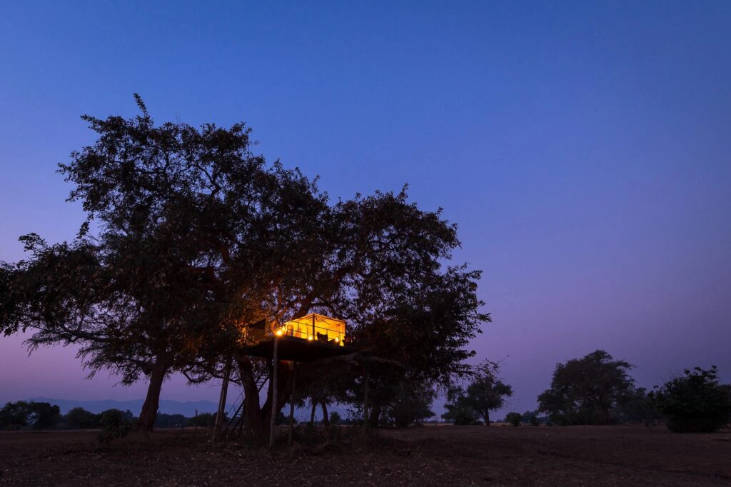 A star bed lit beneath a riverine tree at Ruckomechi Camp on the Zambezi