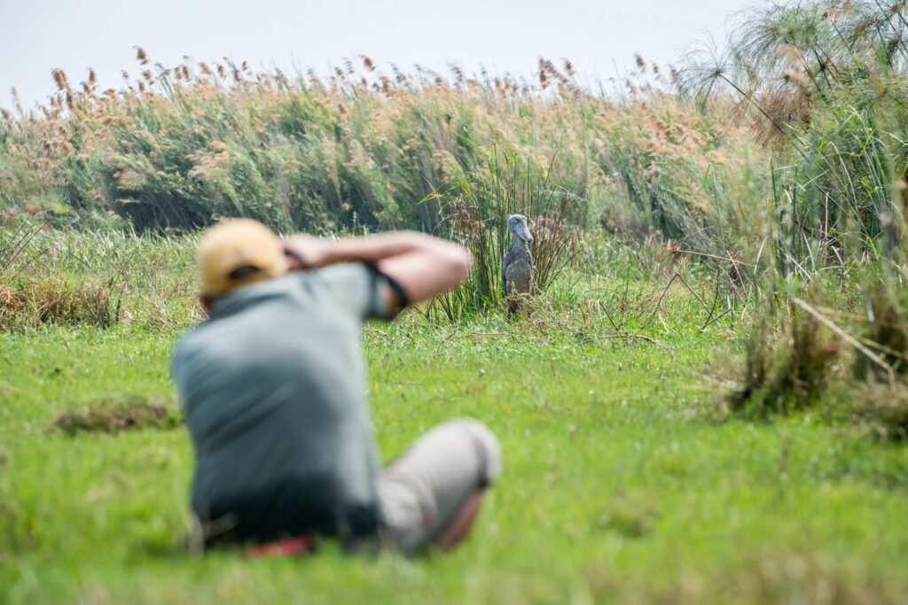 Lying flat on the bank to photograph a bird at the water's edge