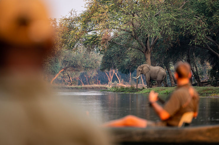 Canoeing safari in Zambia with elephants in background