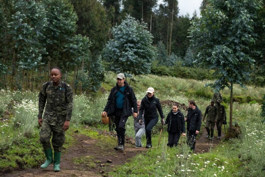 A ranger leads guests along a forest trail dotted with wildflowers during a guided mountain gorilla trek in Volcanoes National Park